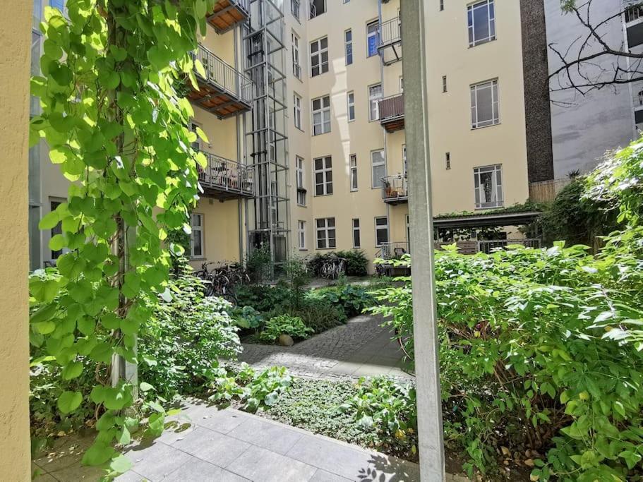 Appartement Lang Li By Rockchair L Superhost Status L 2 Bedrooms Boxspringbeds In Center - Cozy Family & Business Flair Welcomes You! Berlijn